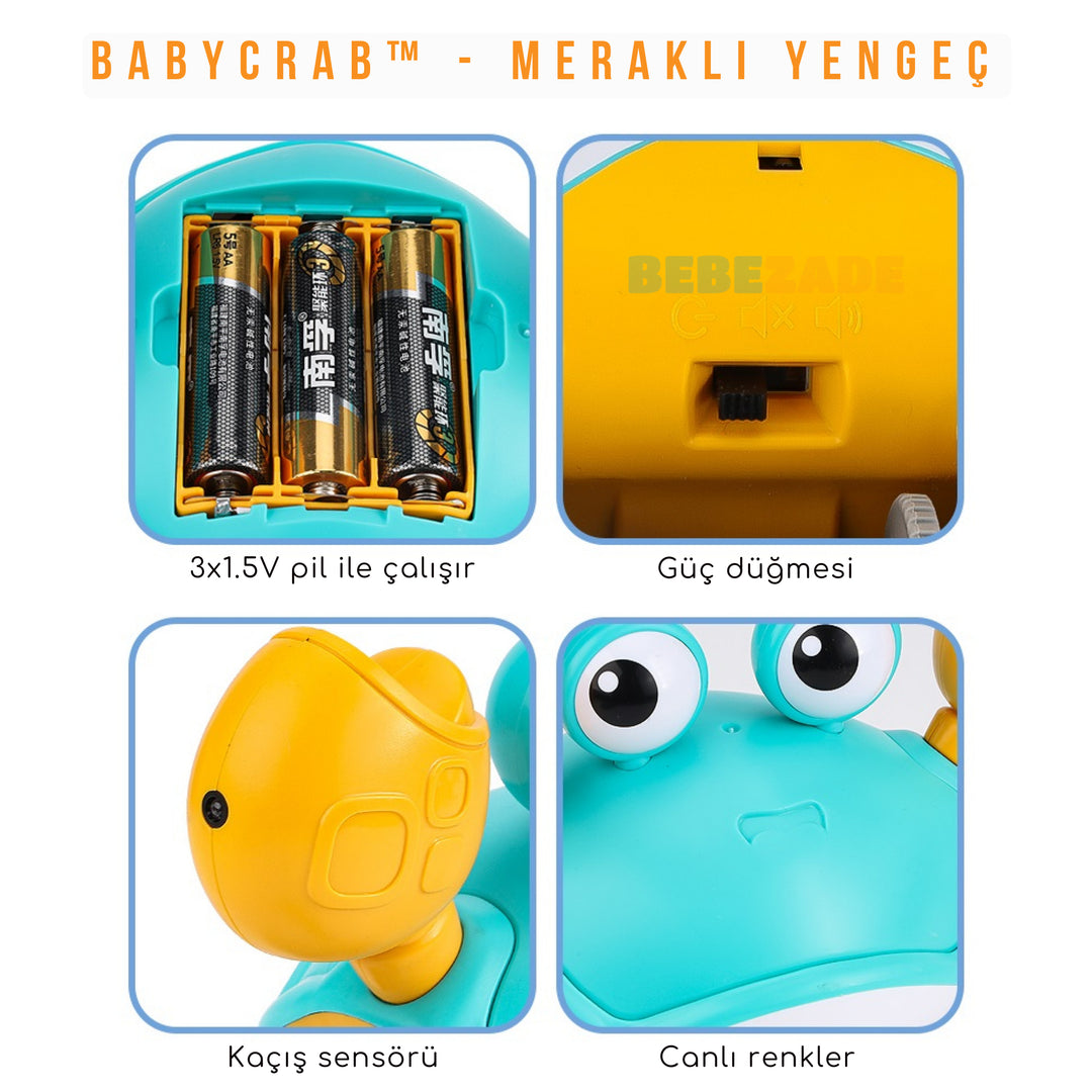BabyCrab™ - Meraklı Yengeç