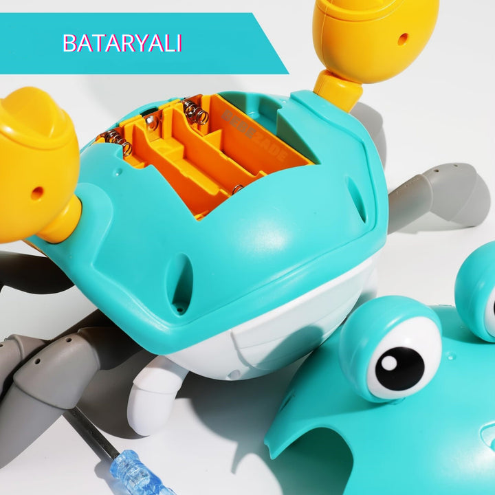 BabyCrab™ - Meraklı Yengeç